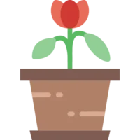 The Ultimate Checklist for Moving with Indoor Plants: Expert Tips 5 The Ultimate Checklist for Moving with Indoor Plants: Expert Tips