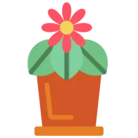 The Ultimate Checklist for Moving with Indoor Plants: Expert Tips 2 The Ultimate Checklist for Moving with Indoor Plants: Expert Tips