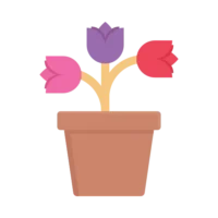 The Ultimate Checklist for Moving with Indoor Plants: Expert Tips 3 The Ultimate Checklist for Moving with Indoor Plants: Expert Tips